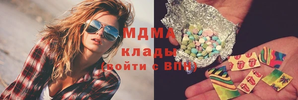 молекула духа Кулебаки
