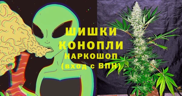 прущие крисы Алзамай
