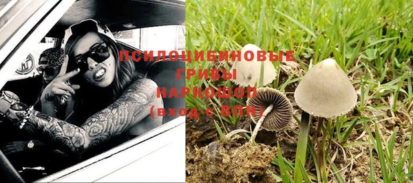 прущие крисы Алзамай
