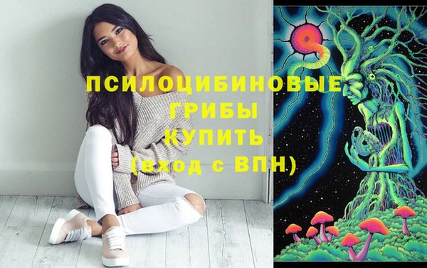 прущие крисы Куйбышев